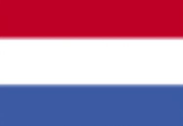 Niederlande  Laufkatzen